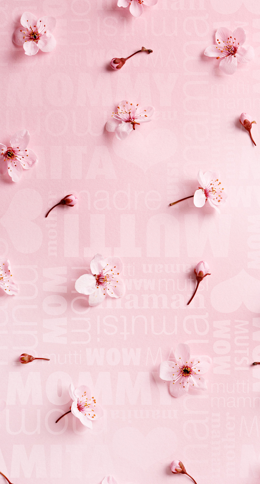 Iphoneまたはandroid用の花 ピンク壁紙 Wallpapersfor Me